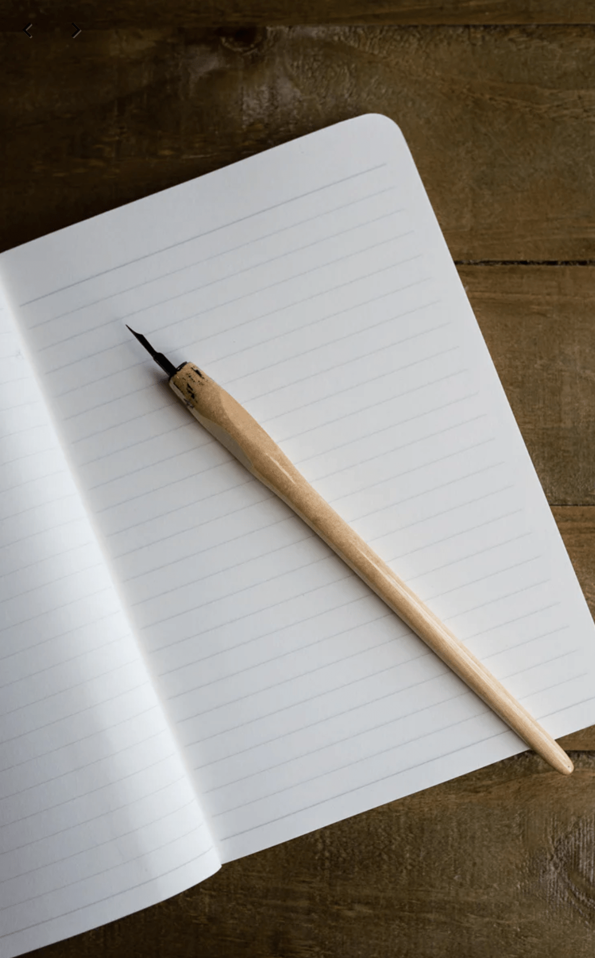 A5 paperback notebook Kingfisher Design by Dollyhotdogs showing lined pages