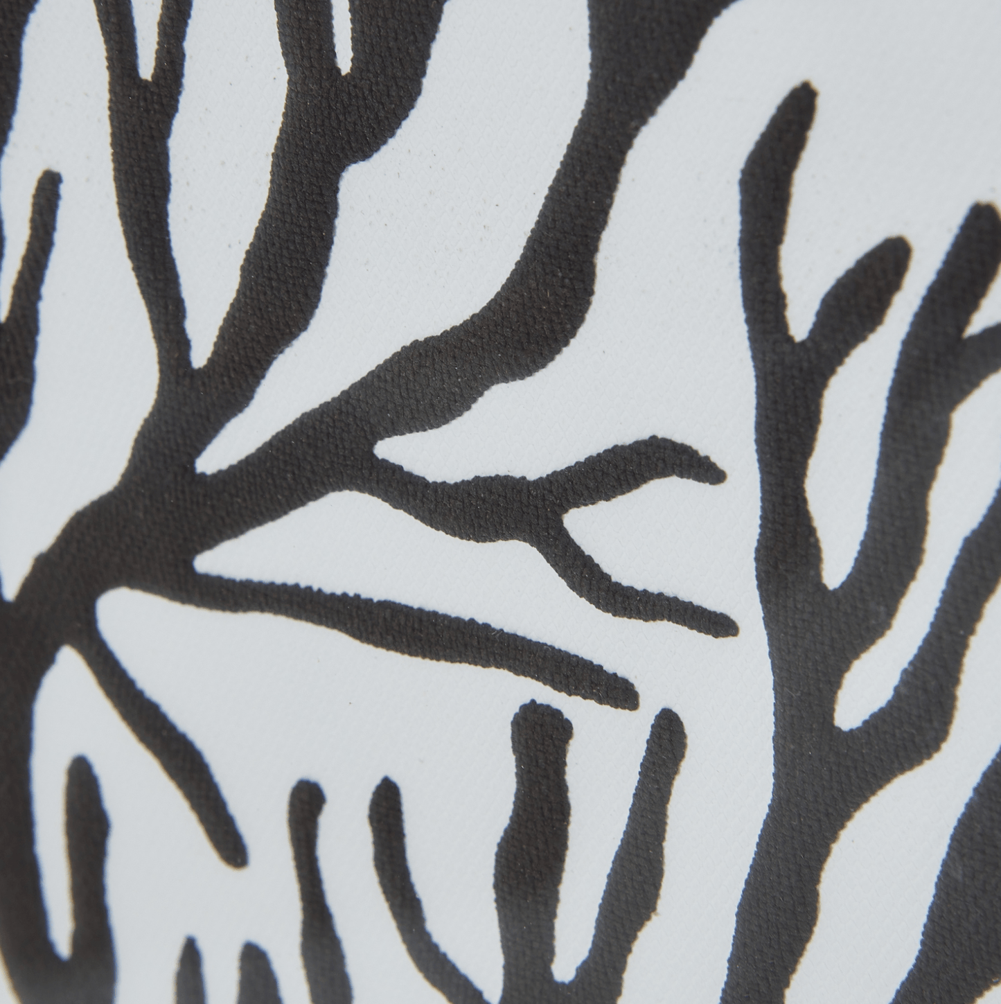 Coral Art Mounted In Beaded Frame