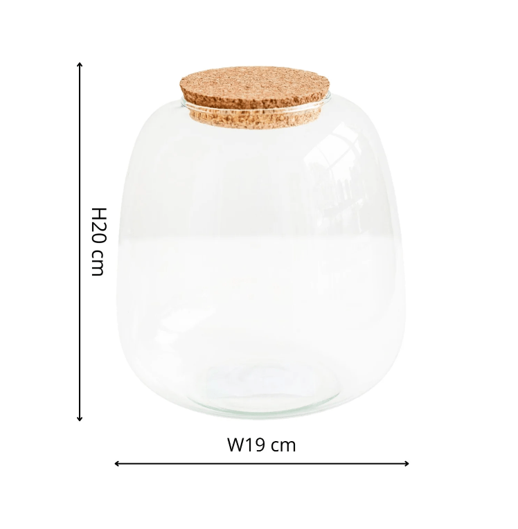 Bowl Shape Terrarium DIY Kit