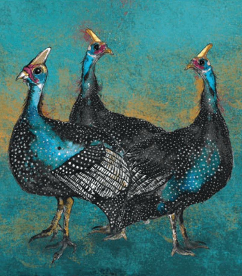 Guinea Fowl paperback notebook by Dollyhotdogs cover image