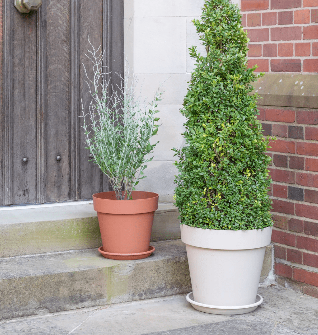 Cleo Planter With Wheels - Terracotta