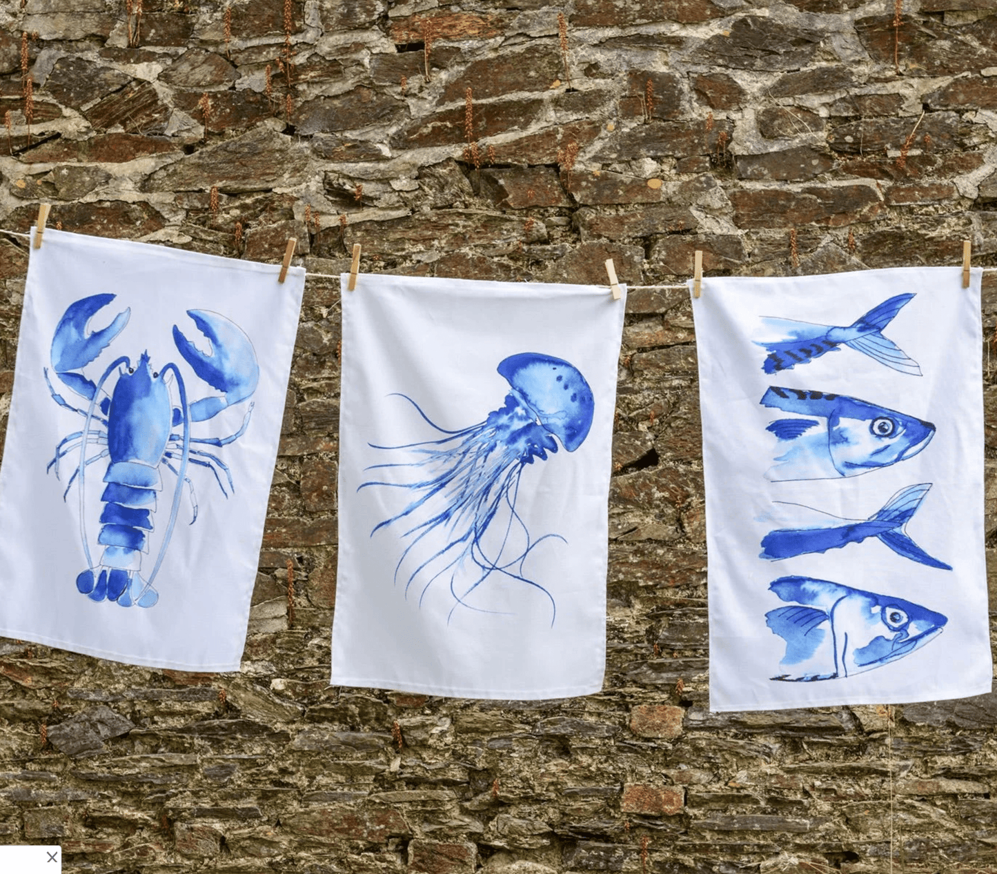 Jellyfish Lobster and Mackerel Tea Towels by Sea Kisses
