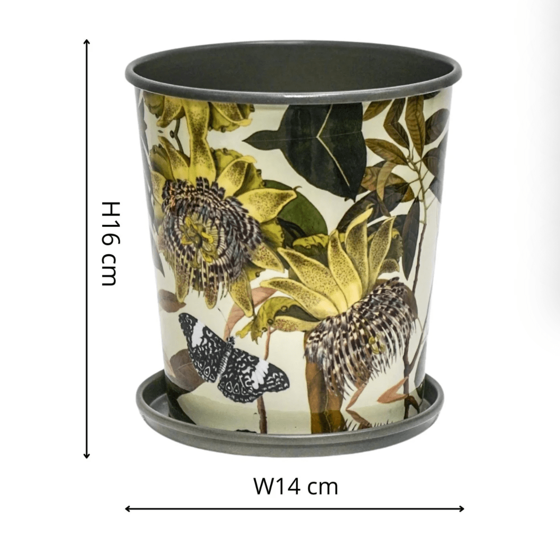 Kew Botanical Retreat Planter With Saucer