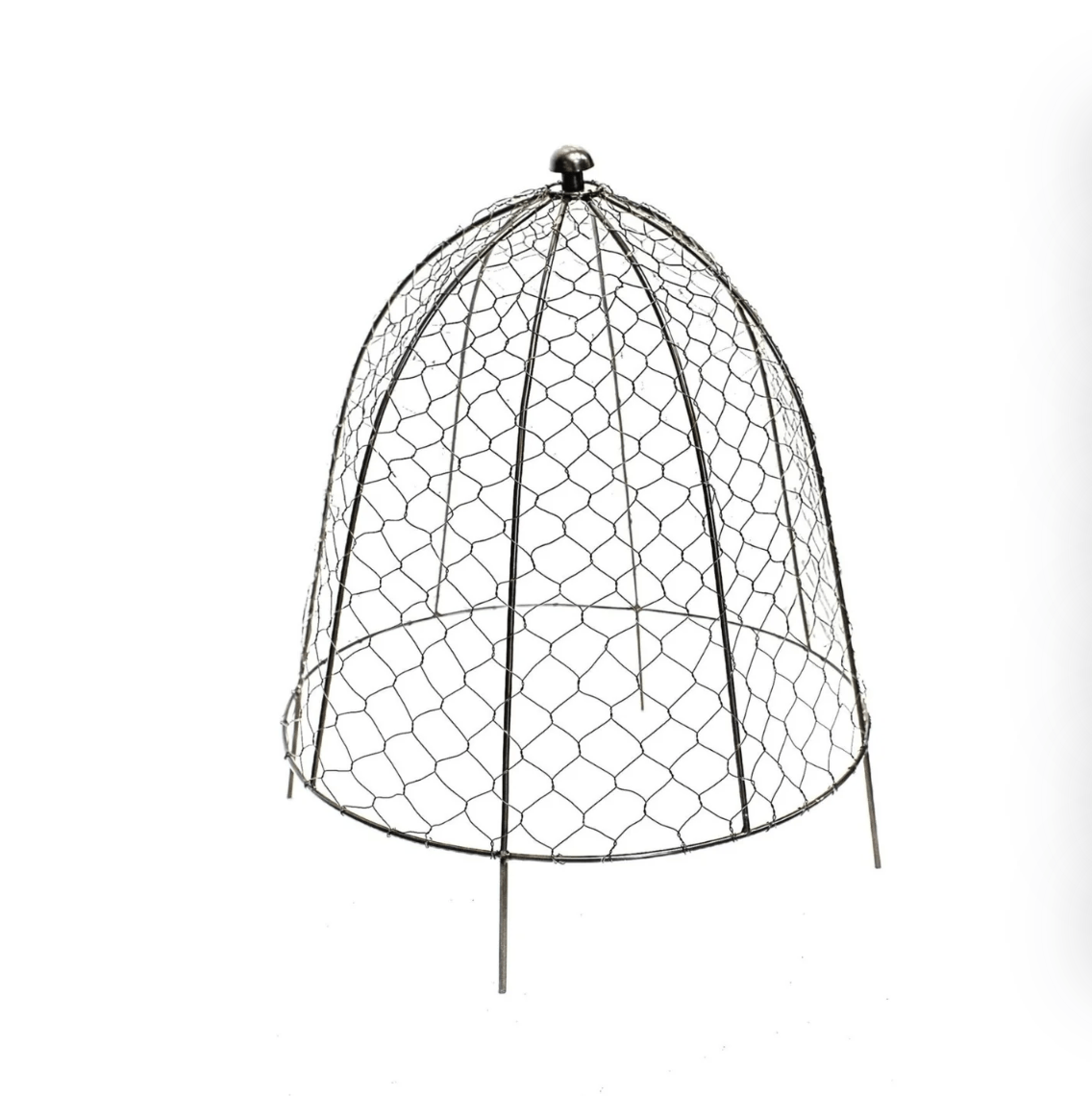 Outdoor Wire Netted Plant Protector - Zinc by Ivyline