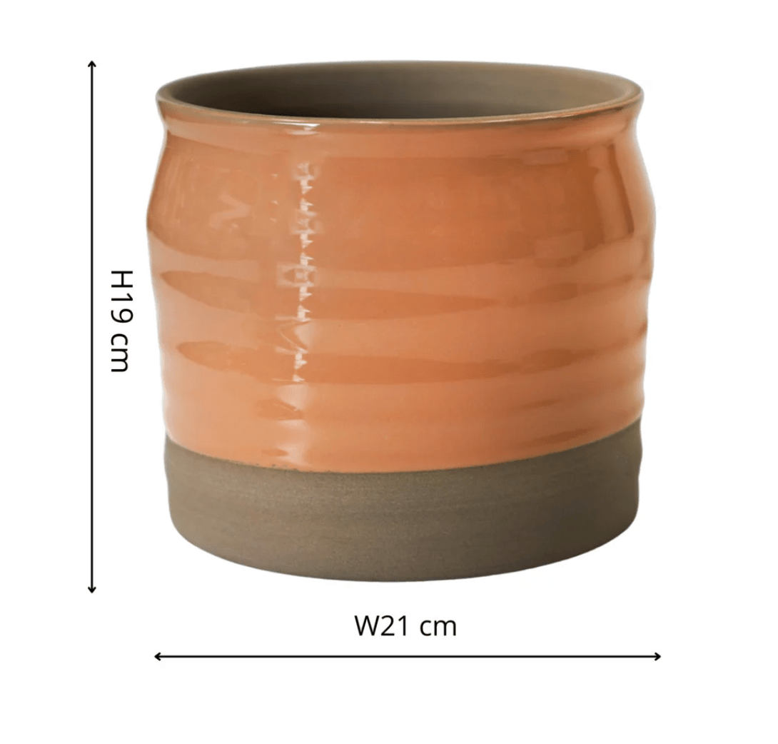 Peach Puro Lipped Gloss Ripple Planter by Ivyline