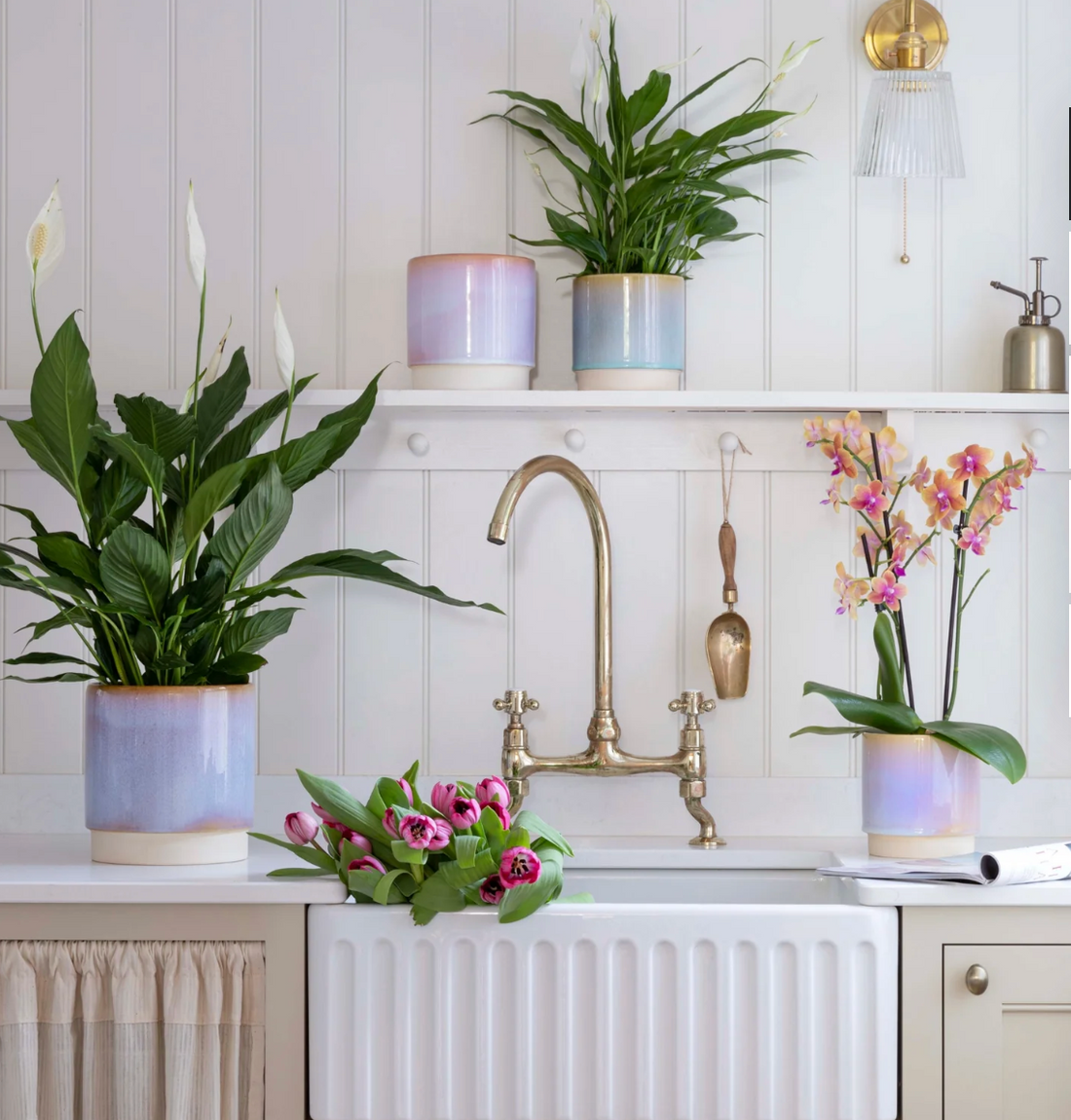 Pots & Planters | Turquoise Living