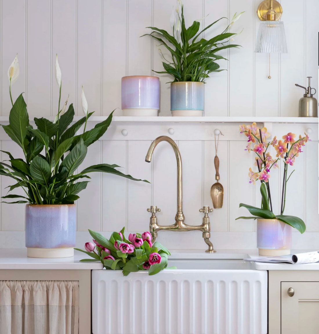 New Spring Homeware & Garden Collection | Turquoise Living