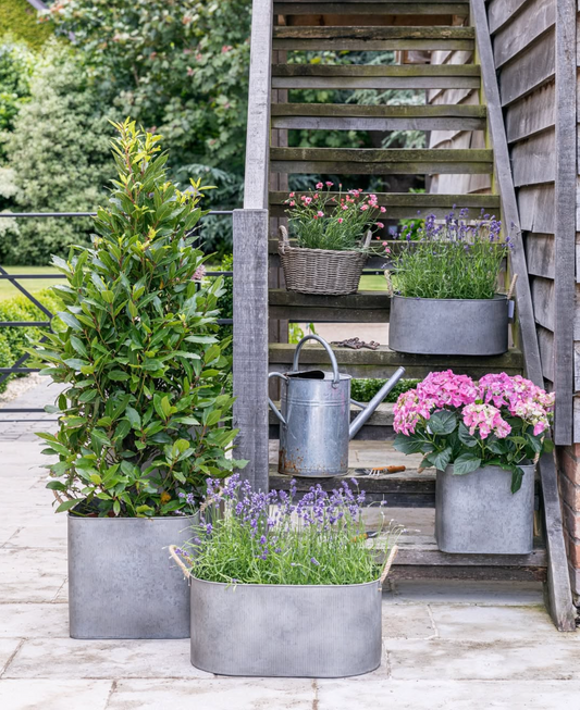 Garden & Outdoor Living | Turquoise Living
