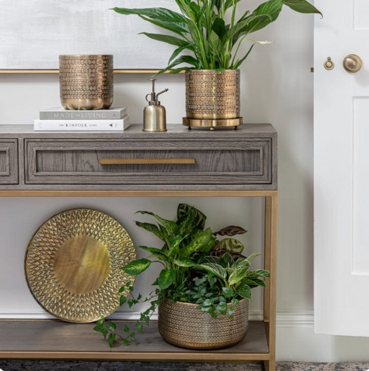 New season, New Arrivals | Turquoise Living