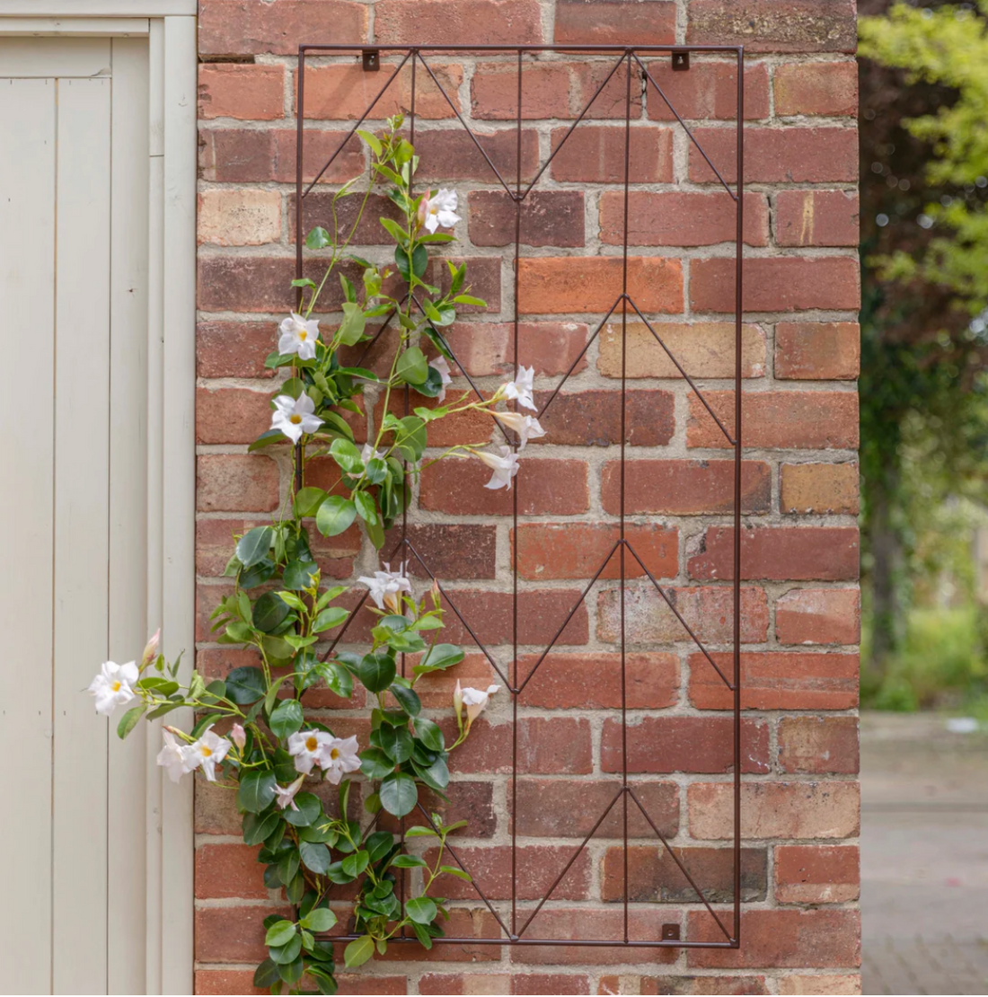 Garden Trellis & Planters Back in Stock | Turquoise Living