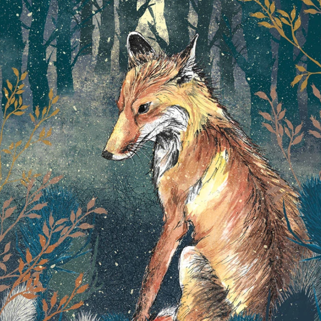 Christmas Collection Winter Fox | Turquoise Living