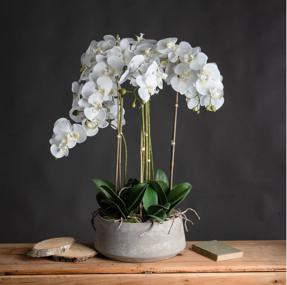 Artificial Plants | Turquoise Living