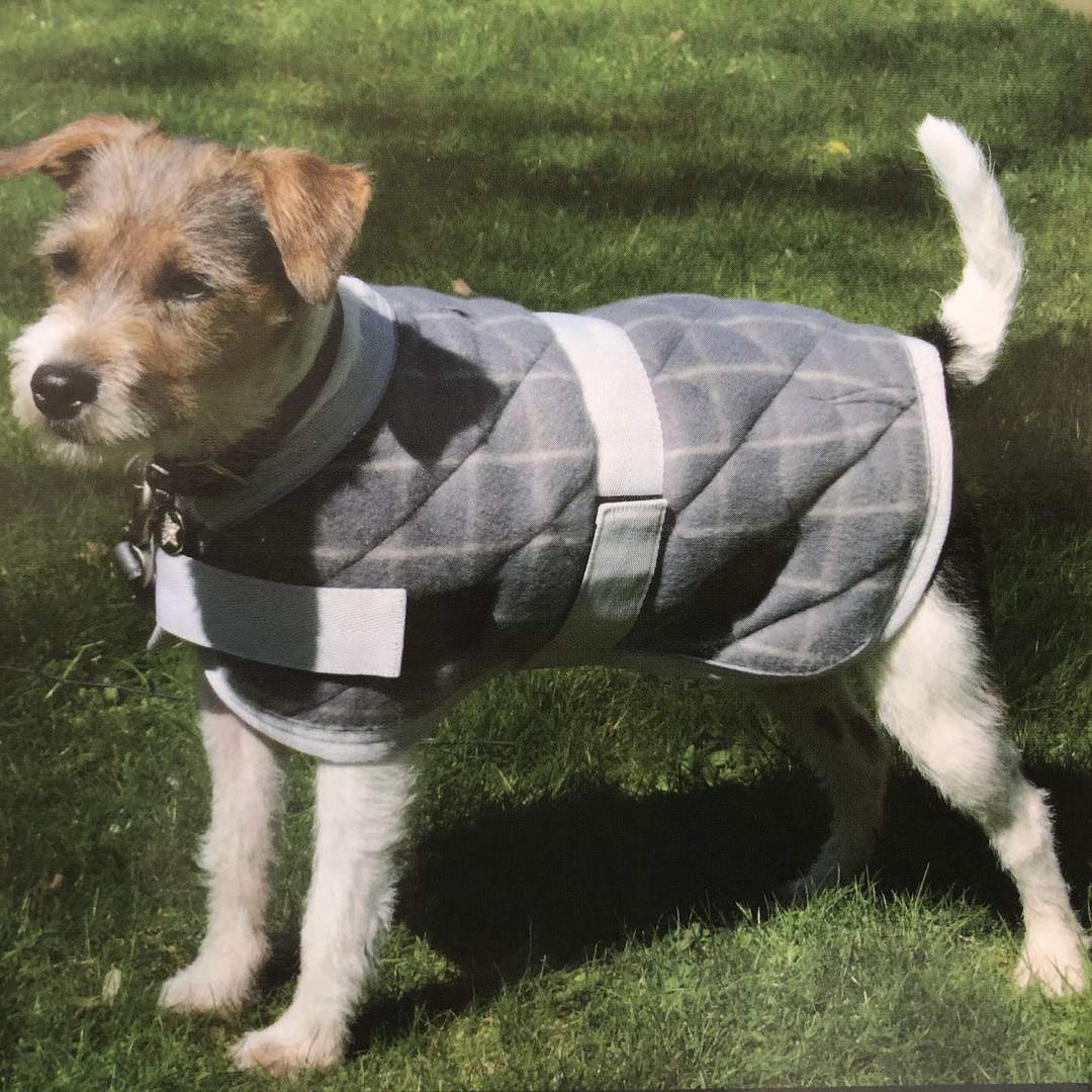 Dog Coats by Petface | Turquoise Living