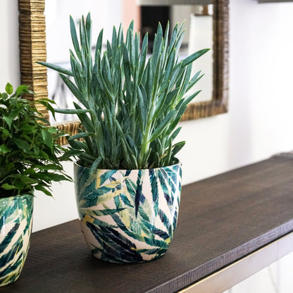 Monza Ceramic Planter by Ivyline botanical fern