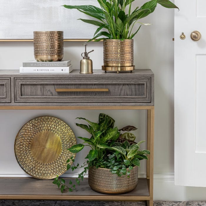 Solis Embossed Planter by Ivyline