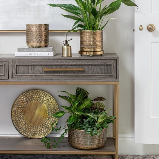 Solis Embossed Planter by Ivyline
