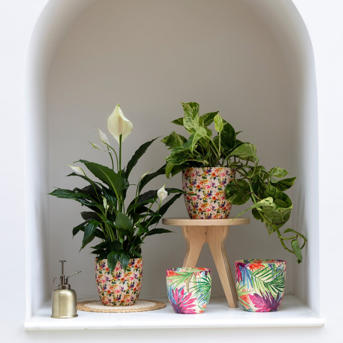 Monza Ceramic Planter by Ivyline tropical fuchsia