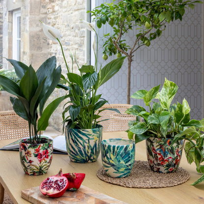 Monza Ceramic Planter by Ivyline botanical fern