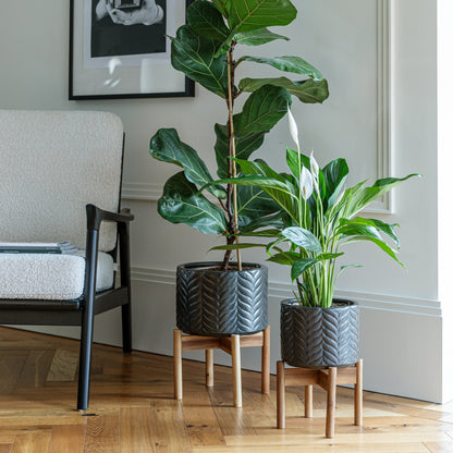 Aspen Chevron Planter by Ivyline mercury