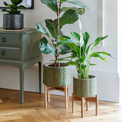 Aspen Chevron Planter by Ivyline olive green