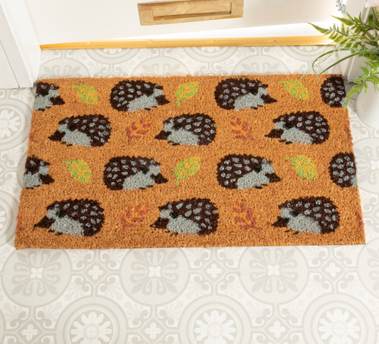 Doormat Colourful Hedgehog Design