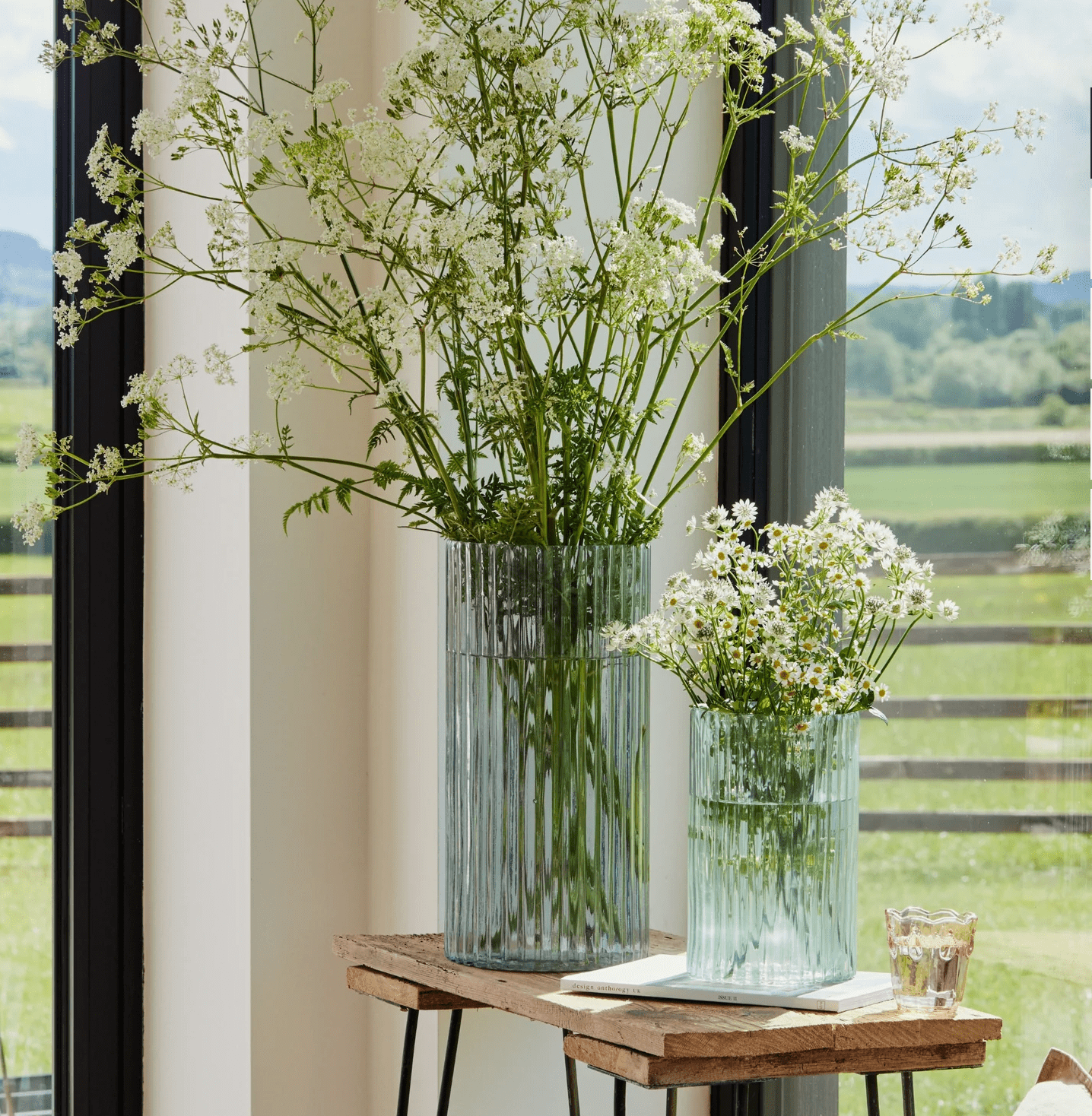 Tall Sleek Ribbed Display Vase by Ivyline