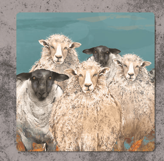 Dollyhotdogs Sheep Coaster