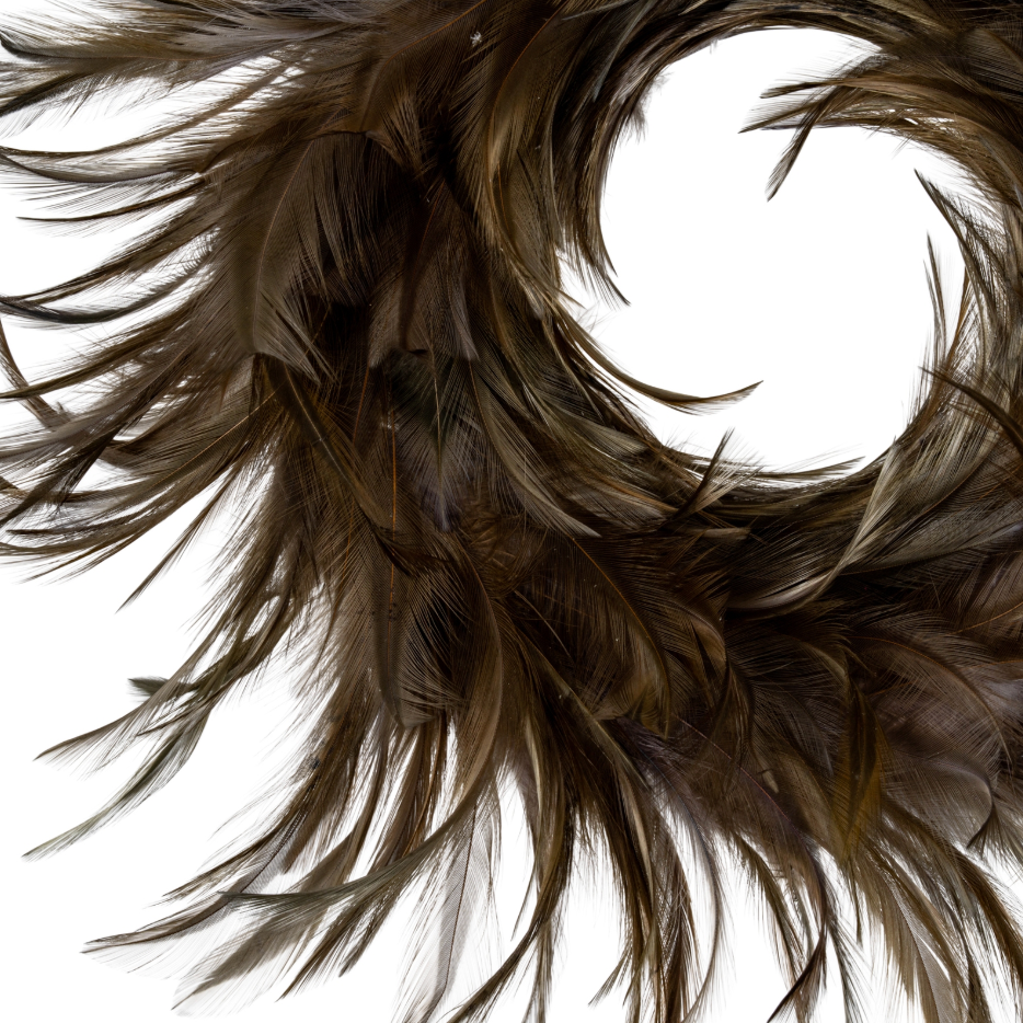 Close-up of brown feathers on a white background