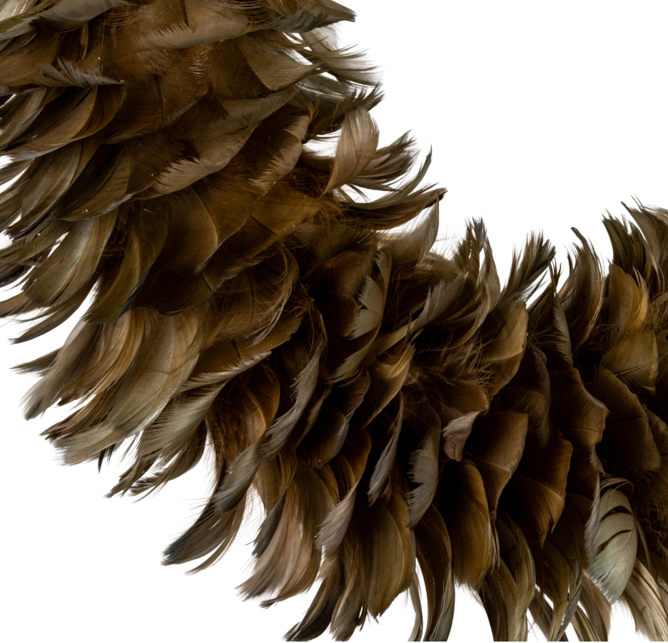 A close-up of a brown feather boa or decorative feather garland against a plain white background.