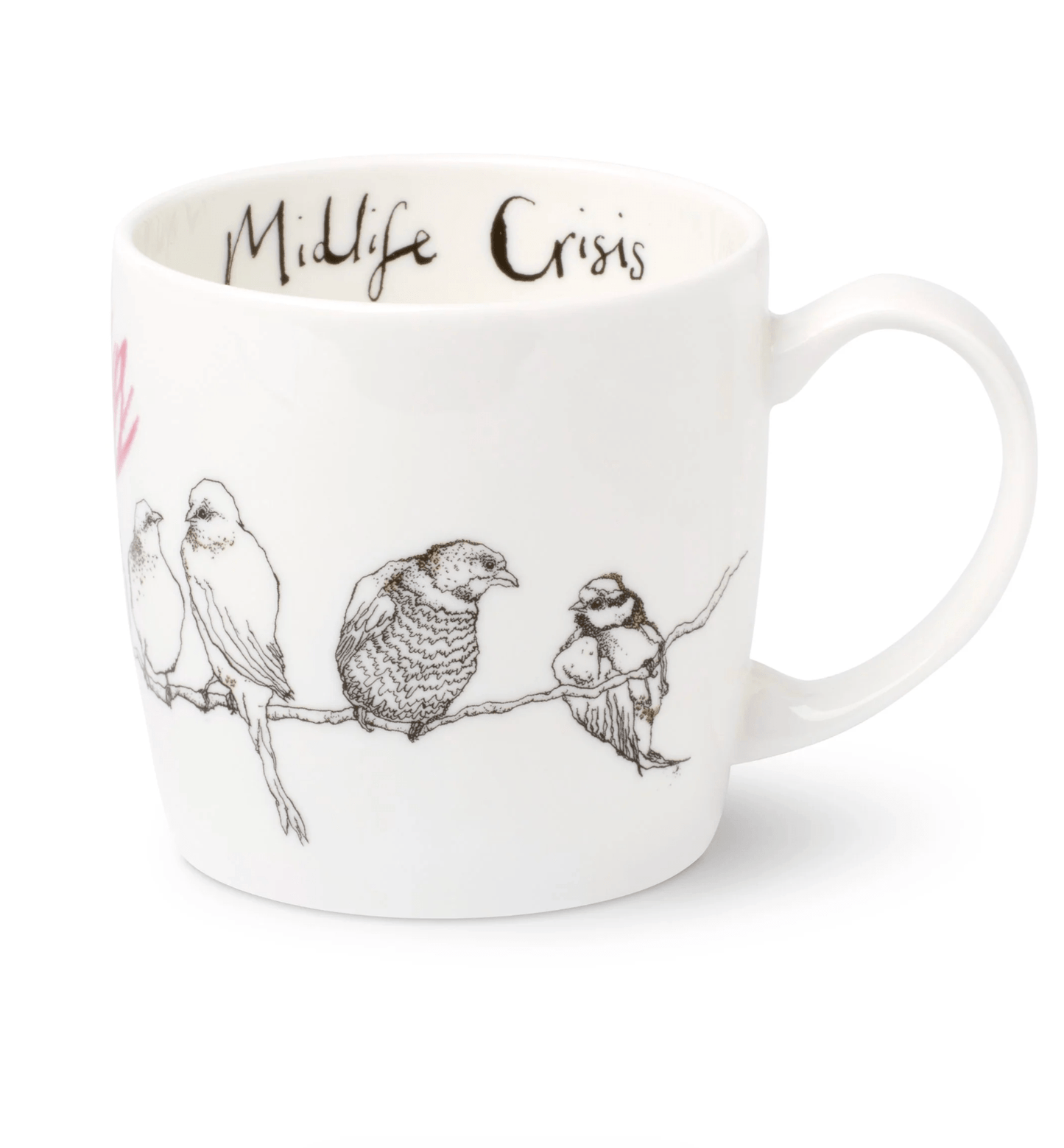 Anna Wright Fine Bone China Duck Mug "Midlife Crisis" 