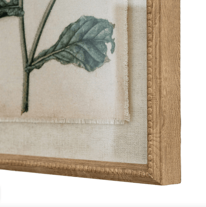Close-up of a framed botanical illustration with a wooden frame.