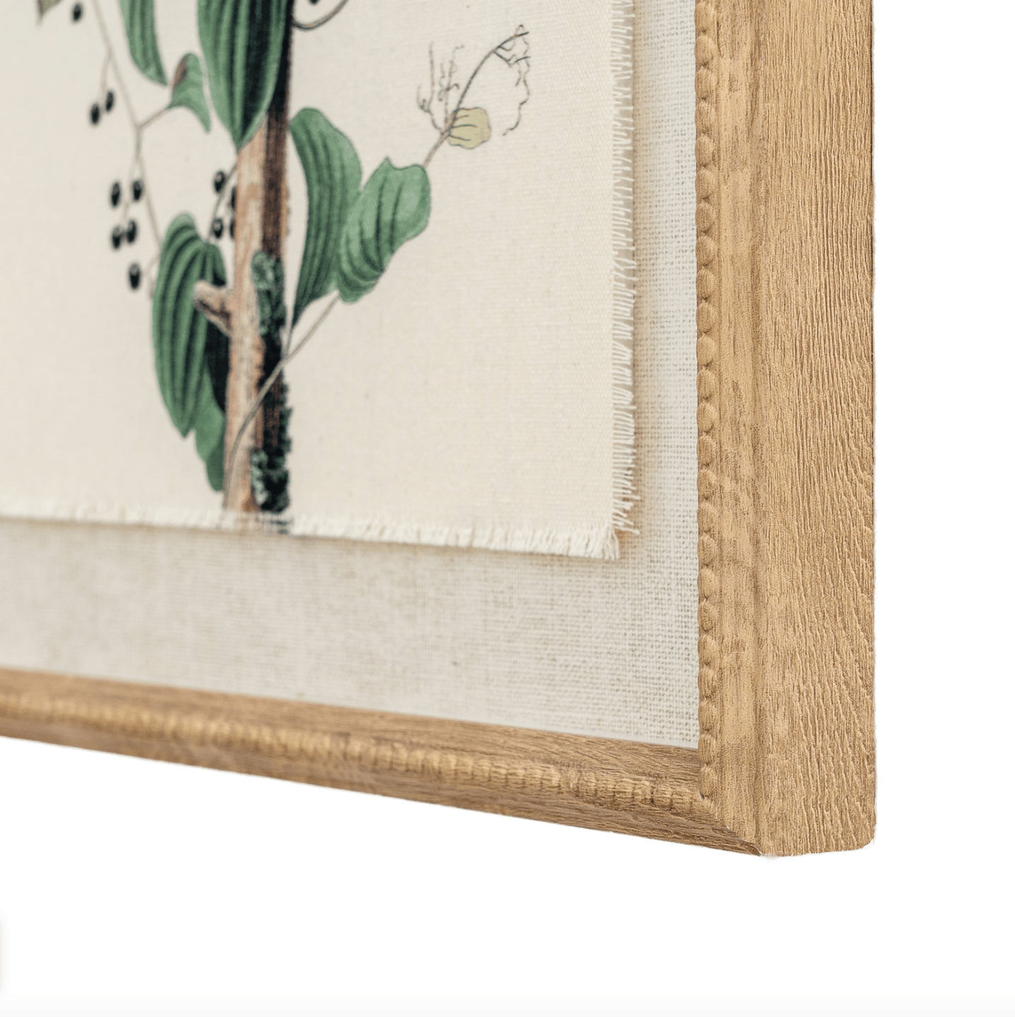 Close-up of a framed botanical illustration with a wooden frame.