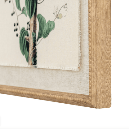 Close-up of a framed botanical illustration with a wooden frame.
