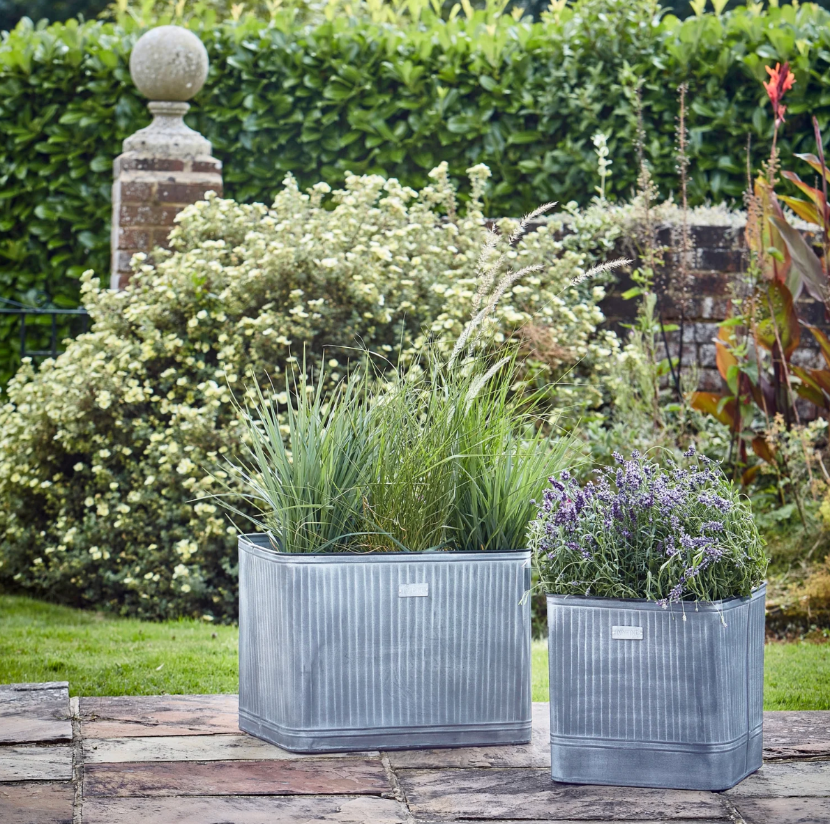 Hampton Square Metal Planter by Ivyline