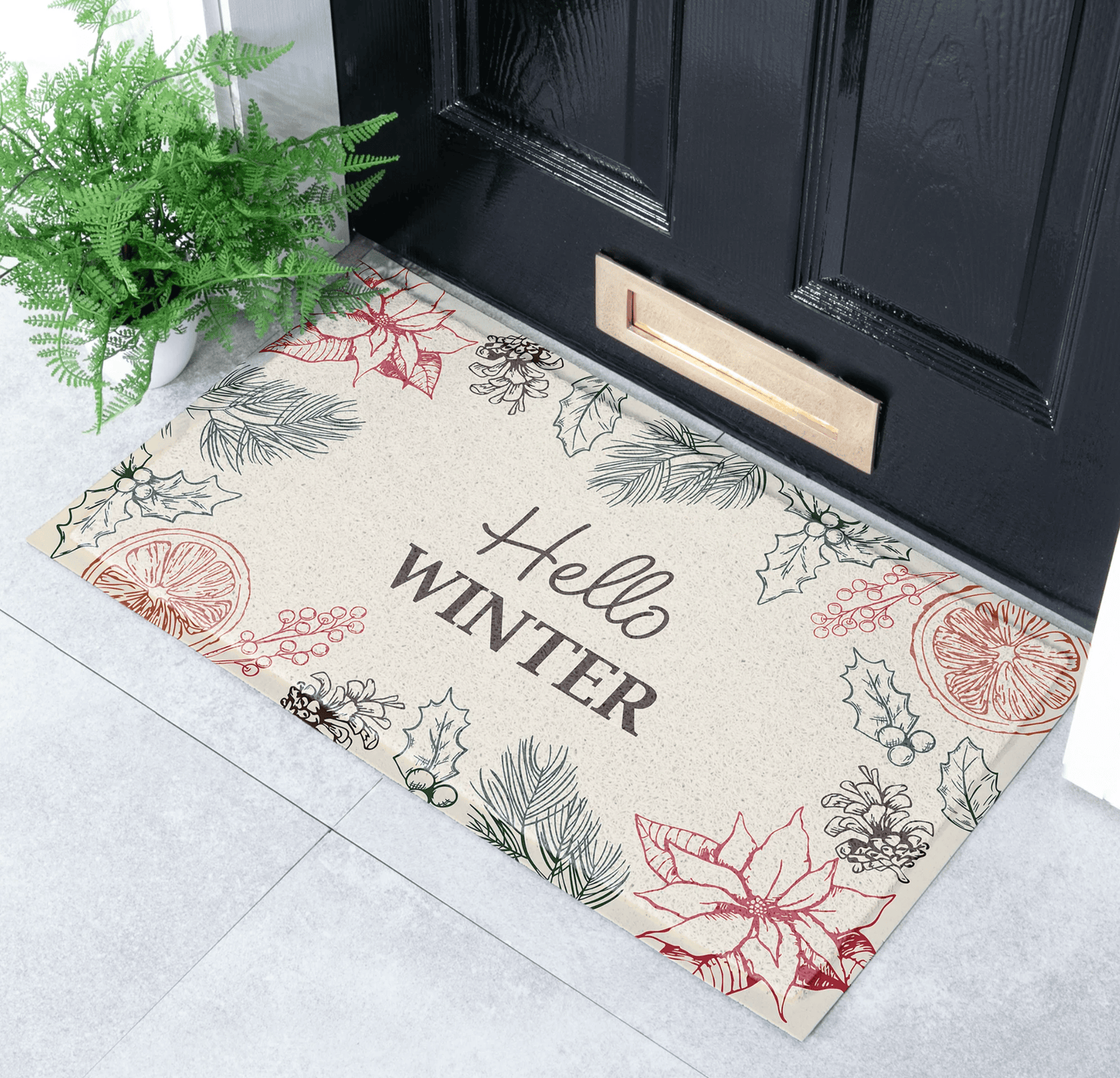 Decorative doormat with 'Hello Winter' text and winter-themed illustrations on a black door.