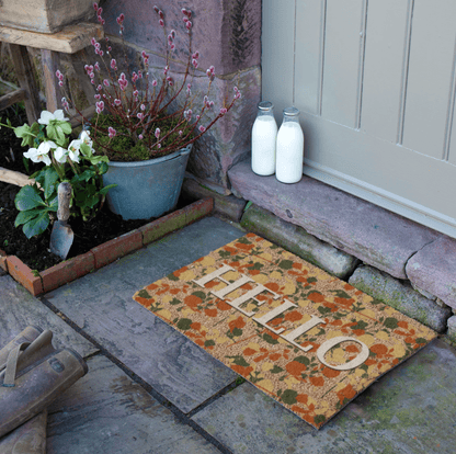Decorative doormat with 'HELLO' on a stone pathway leading to a door.