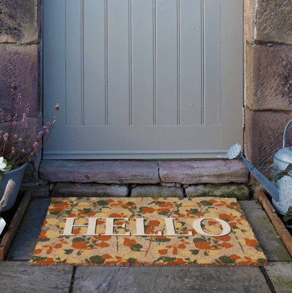 Doormat with 'HELLO' on a stone pathway leading to a door.