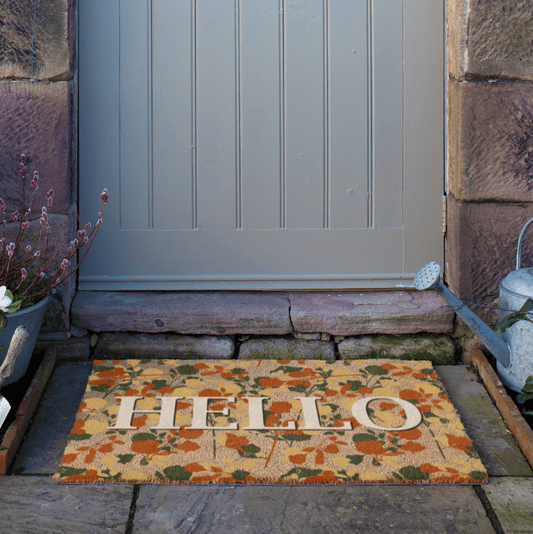 Doormat with 'HELLO' on a stone pathway leading to a door.