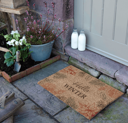 Doormat with 'Hello Winter' text on a stone pathway with plants and milk bottles.
