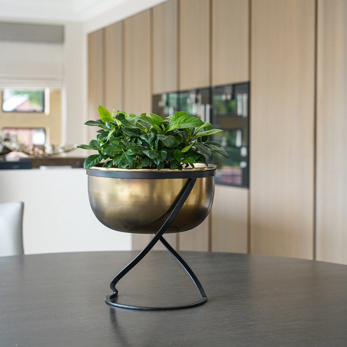 Ivyline Kensington Brass Planter with stand 28cm on kitchen worktop