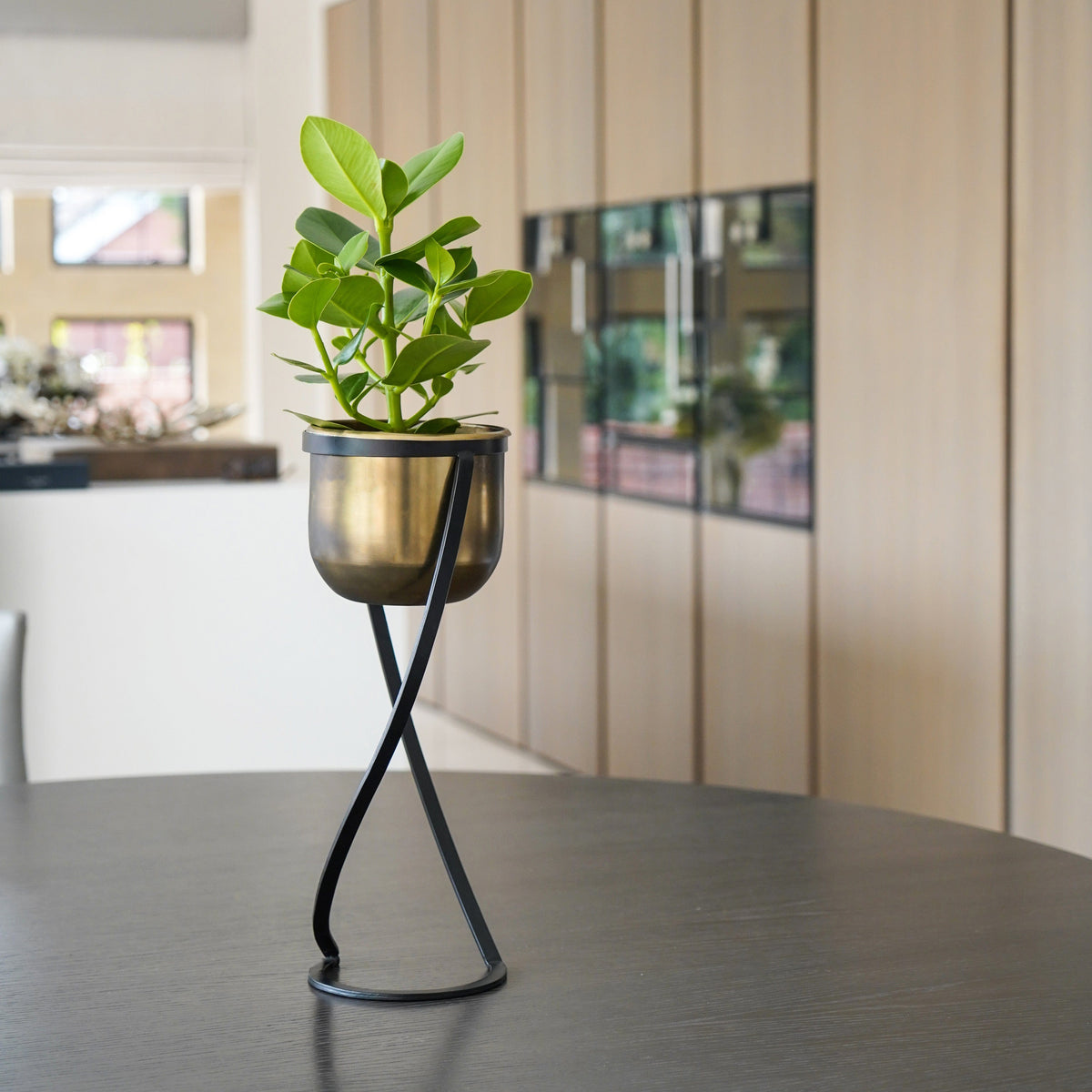 Ivyline Kensington Brass Planter with stand 14cm on kitchen worktop