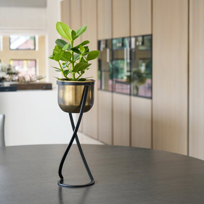 Ivyline Kensington Brass Planter with stand 14cm on kitchen worktop