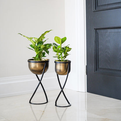 Ivyline Kensington Brass Planter with stand 14cm on the floor