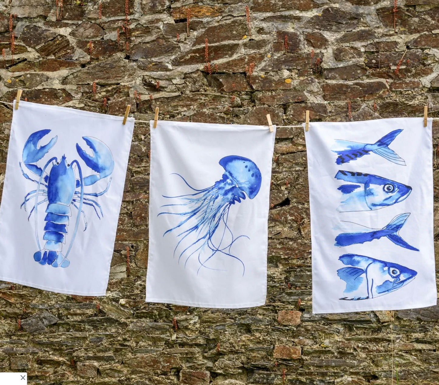 Jellyfish Tea Towel by Sea Kisses