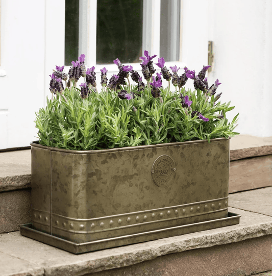 Metal planter with lavender plants on a stone ledge