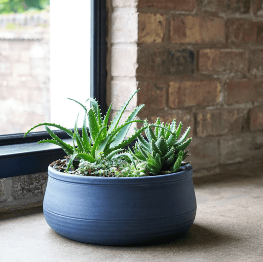 Kew Hand Thrown Statement Bowl