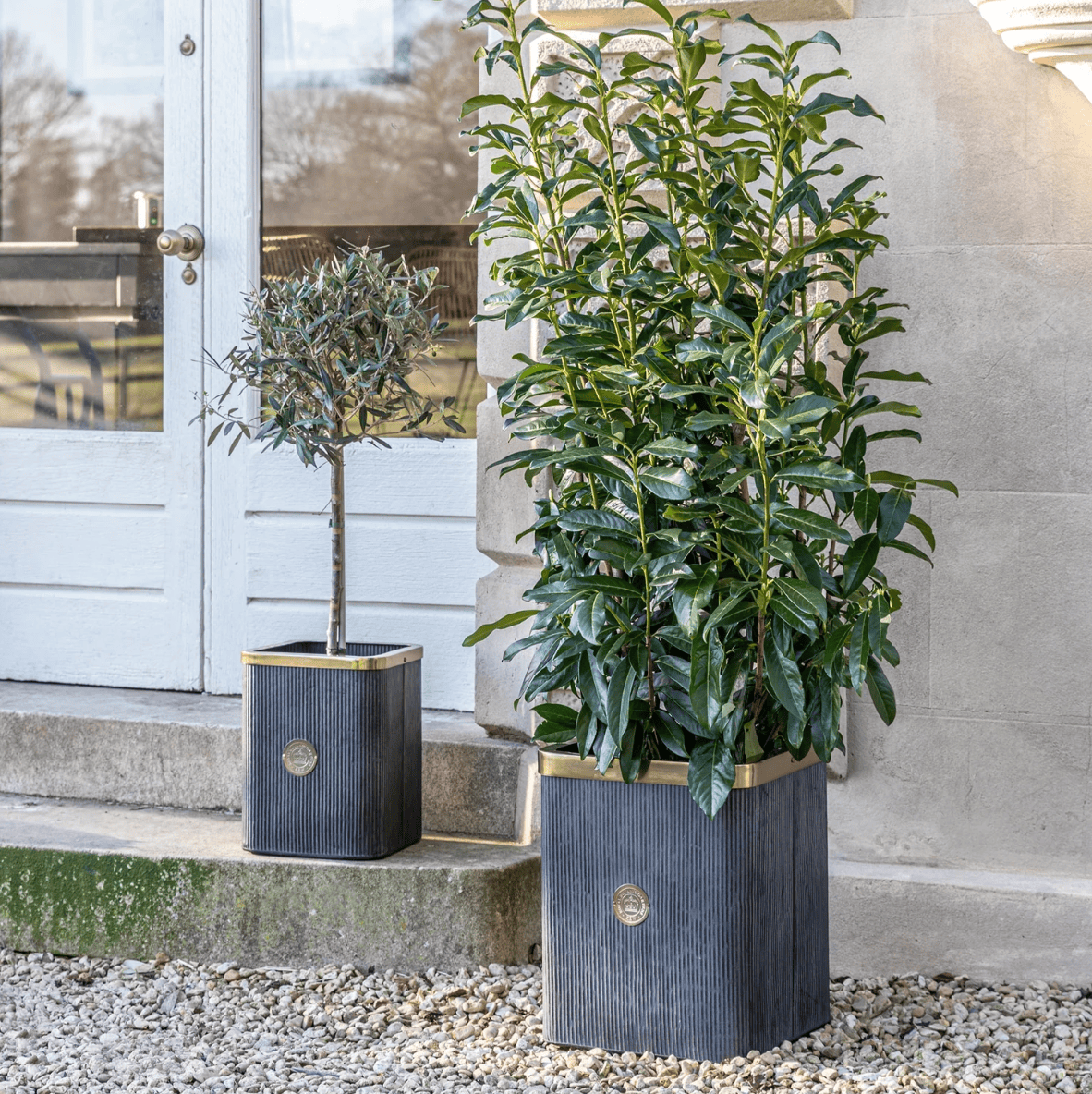 Two potted plants in decorative pots on a pebble-covered ground with a building in the background.