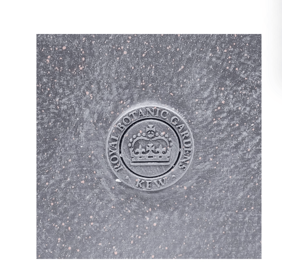 A close-up of a circular metallic emblem embossed into a textured gray stone surface, featuring a crown and the text 'ROYAL BOTANIC GARDENS KEW'.