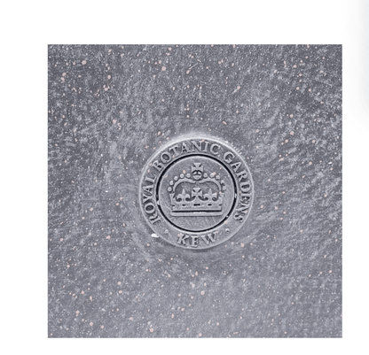 A close-up of a circular metallic emblem embossed into a textured gray stone surface, featuring a crown and the text 'ROYAL BOTANIC GARDENS KEW'.