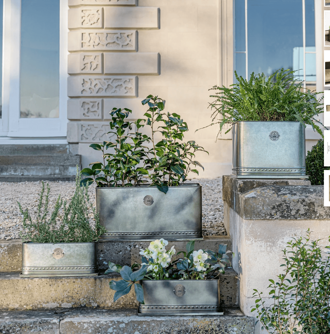 Decorative metal planters with plants on stone steps outside a building.
